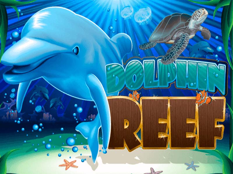 สล็อต Dolphin Reef เว็บตรงไม่ผ่านเอเย่นต์